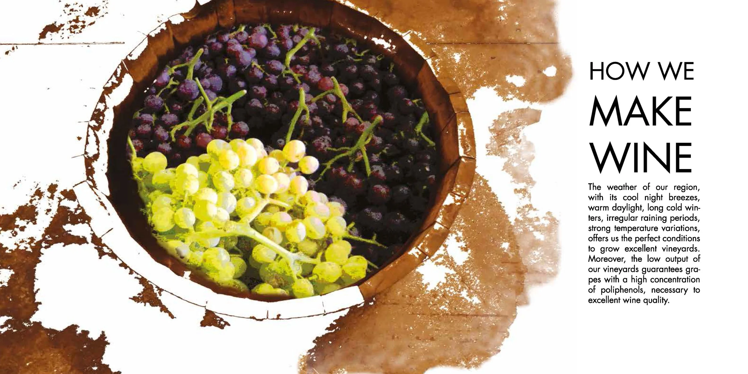 brochure pres villarta-10LD_Pagina_08.jpg