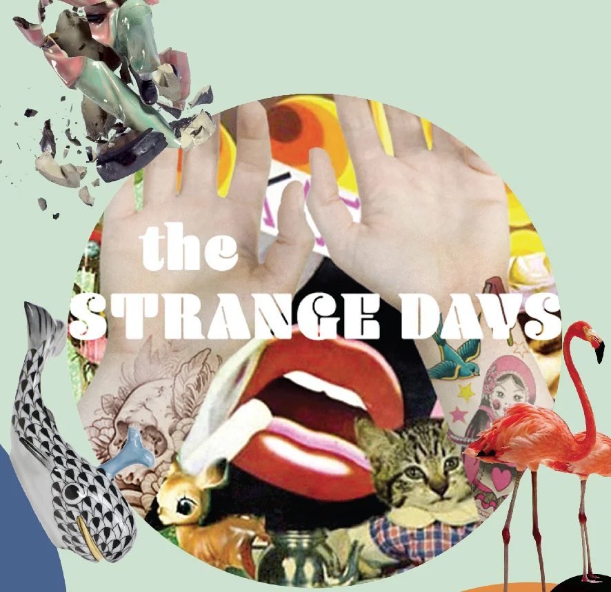 programma definitivo-2.jpg