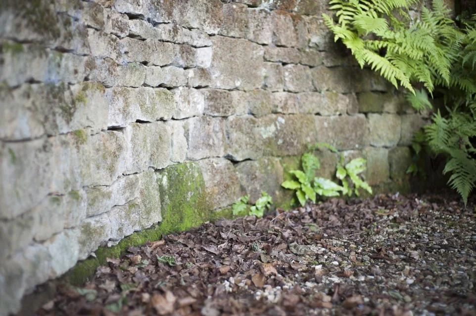 Period Property Renovation and Restoration, Surrey