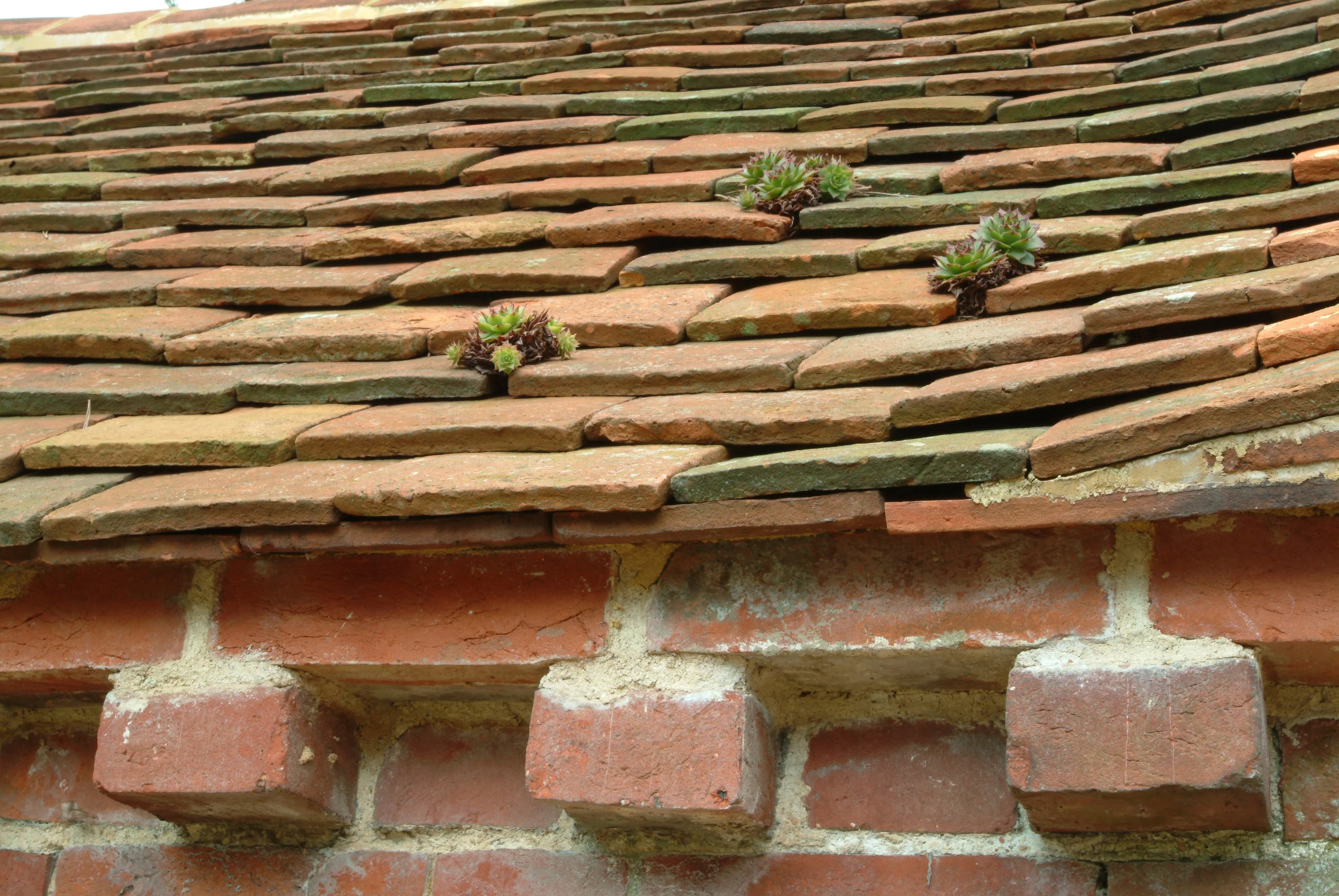 Farmhouse Restoration - Roof Detail