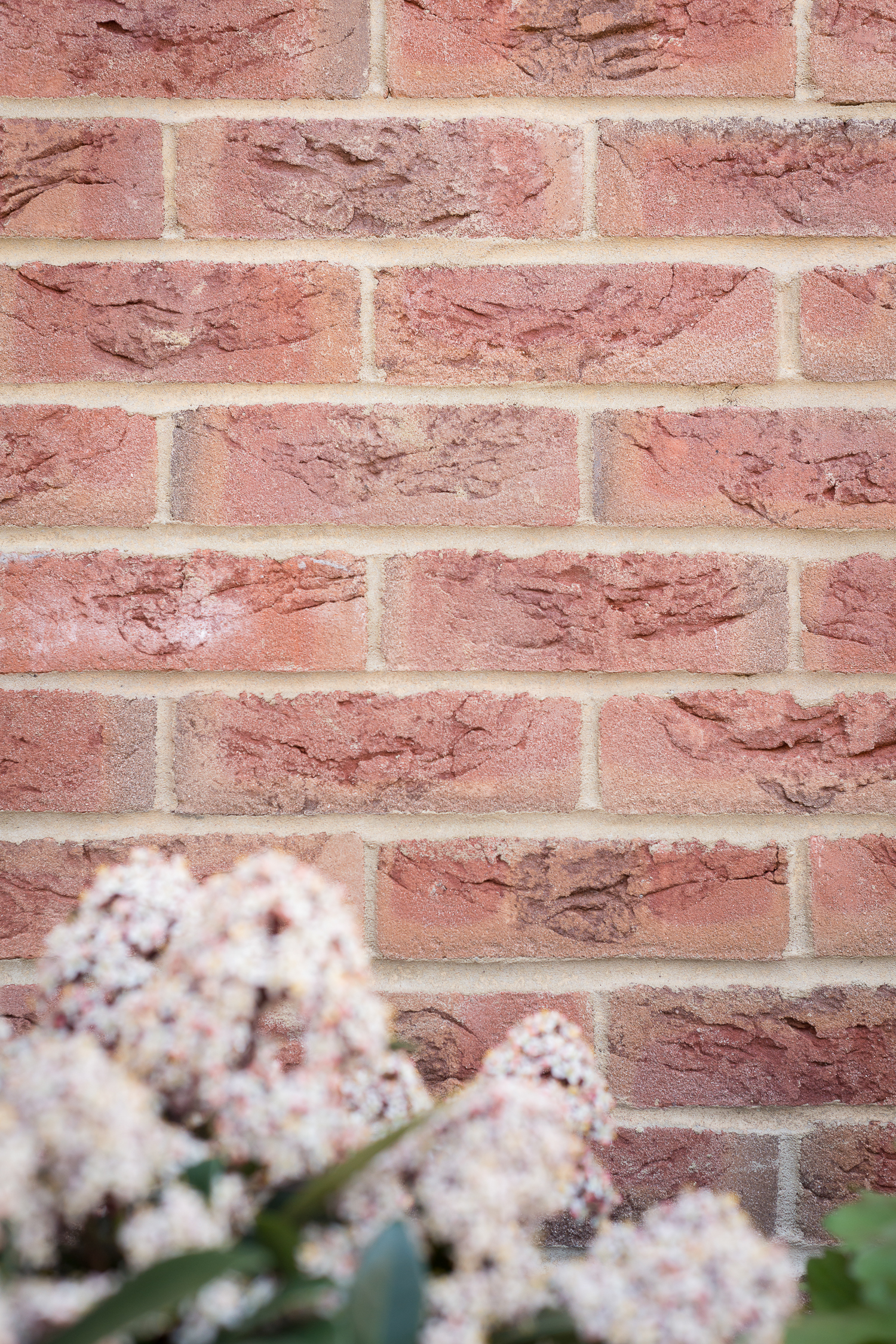 Brick Wall Detail