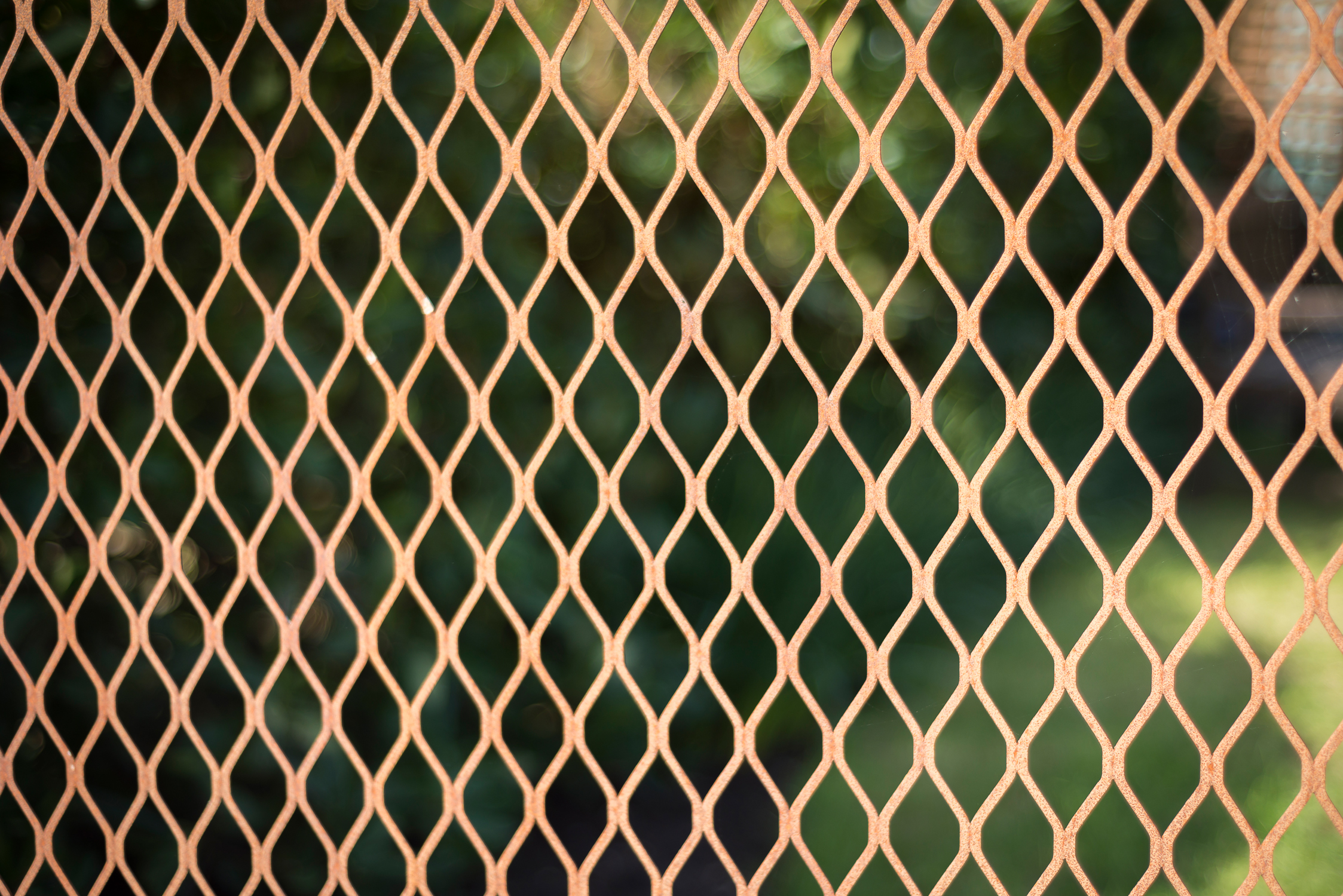 Rusted Mesh Fence Detail 