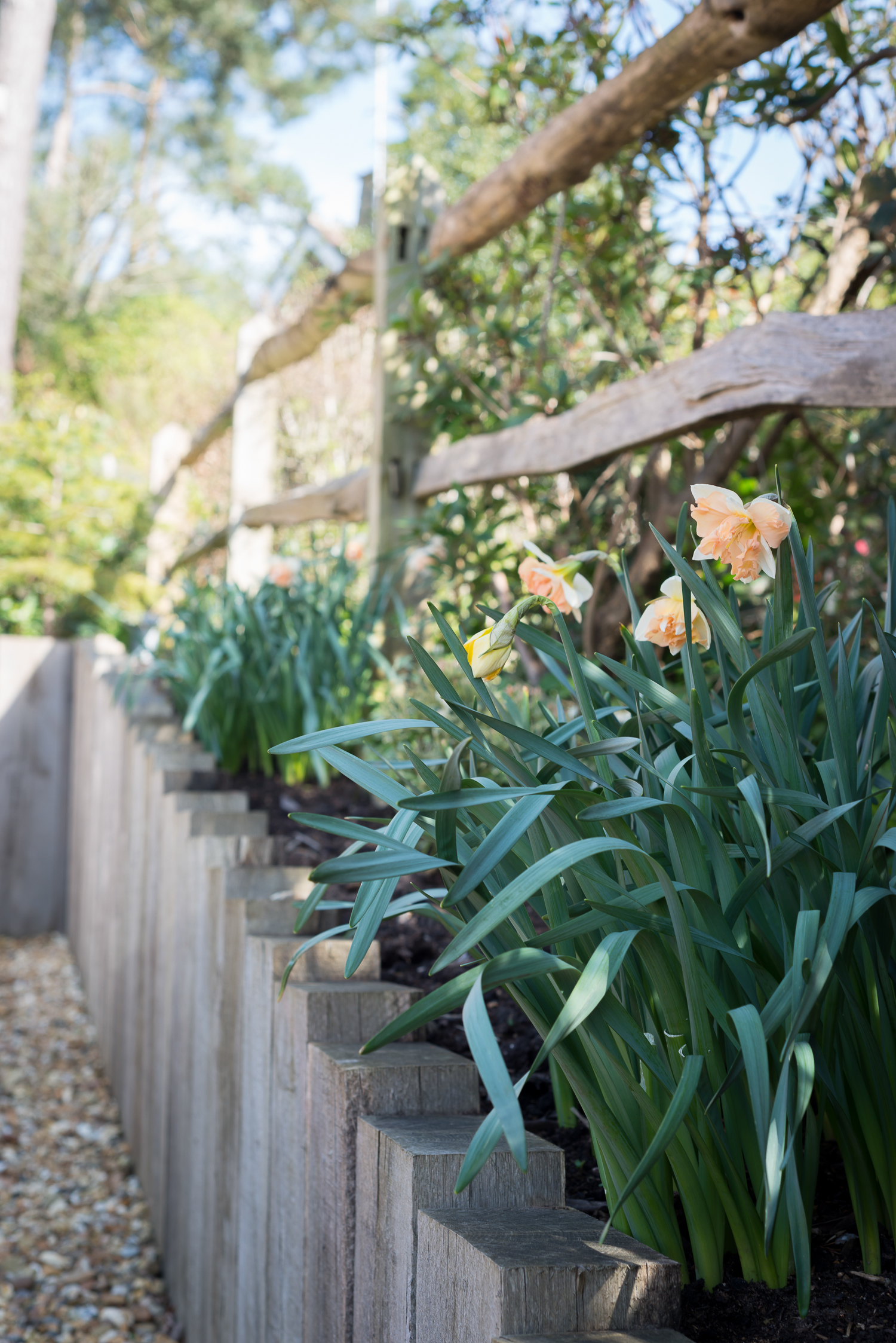 Stepped Weather Oak Post Retaining Wall with Planted Border and Post & Rail Fence