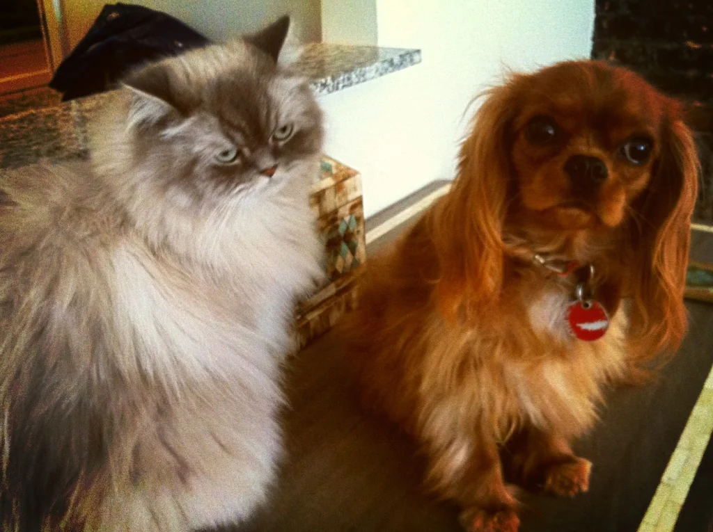 Walter serving Greta some first-class haterade laced with tolerance and passive-aggressive love.