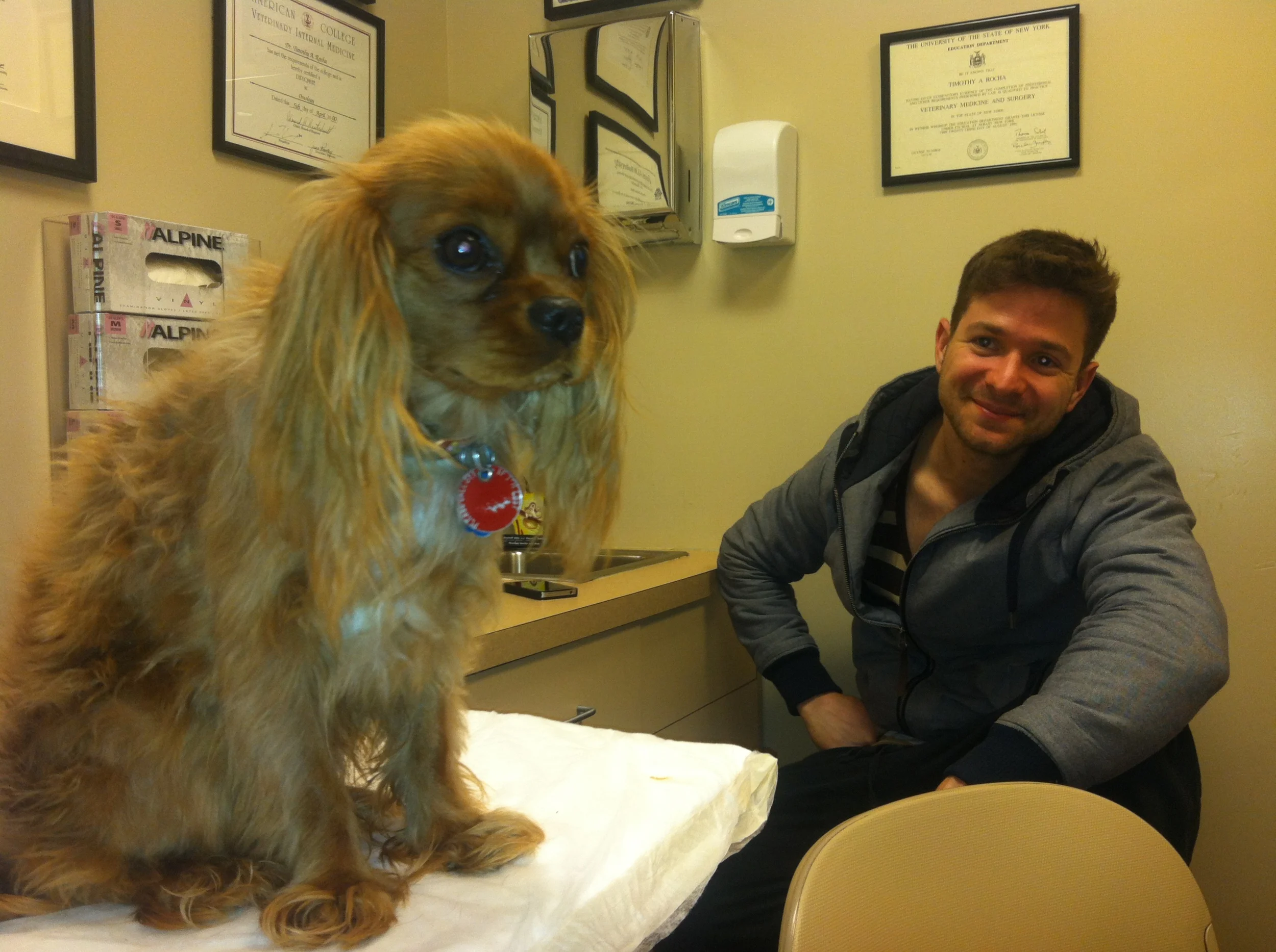 At the 24-hr vet clinic. It was humiliating for all involved.