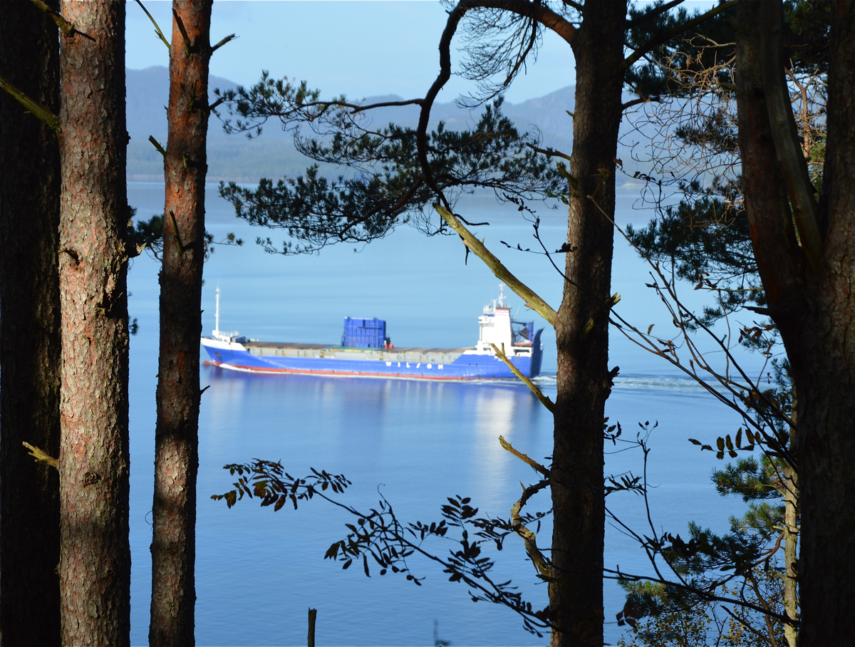 (Foto: Kristian Hus)