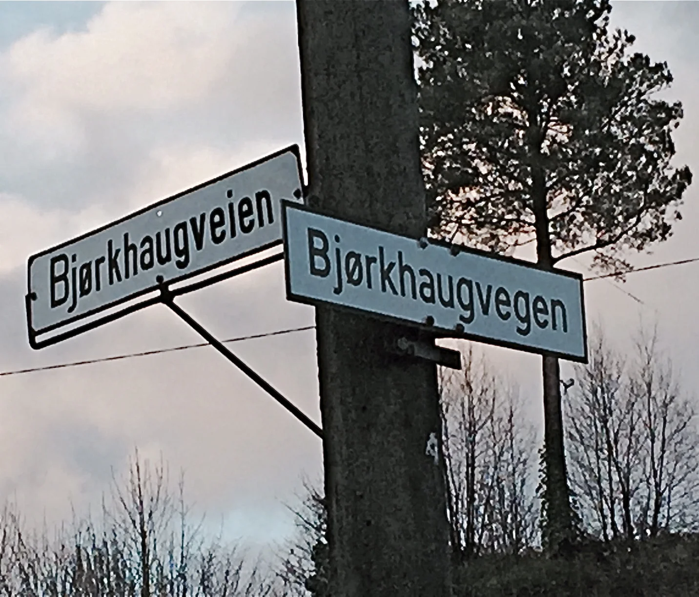 Det er best å gardera seg når ein er i tvil om kva språk skiltet skal vera på. Eller er dette eit døme på at naboane ikkje er vorte enige om språkforma?