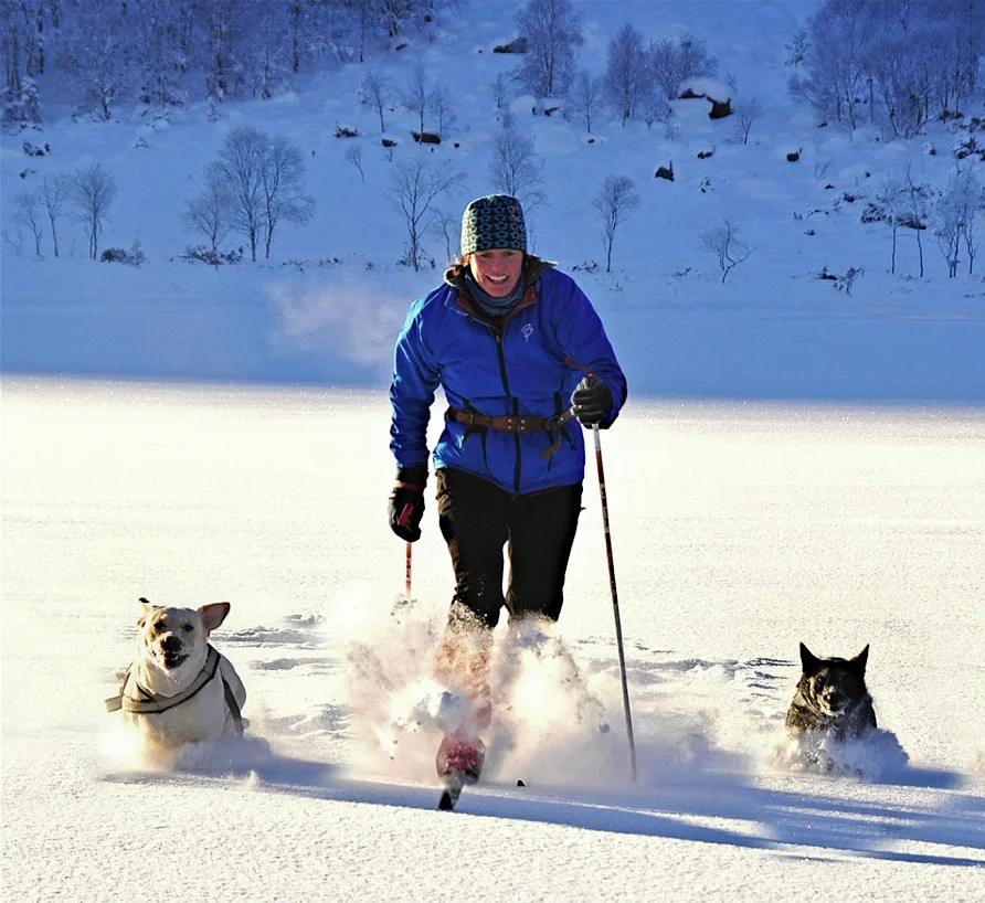Anita Lie på full fart i skiløypa saman med to av hundane deira.