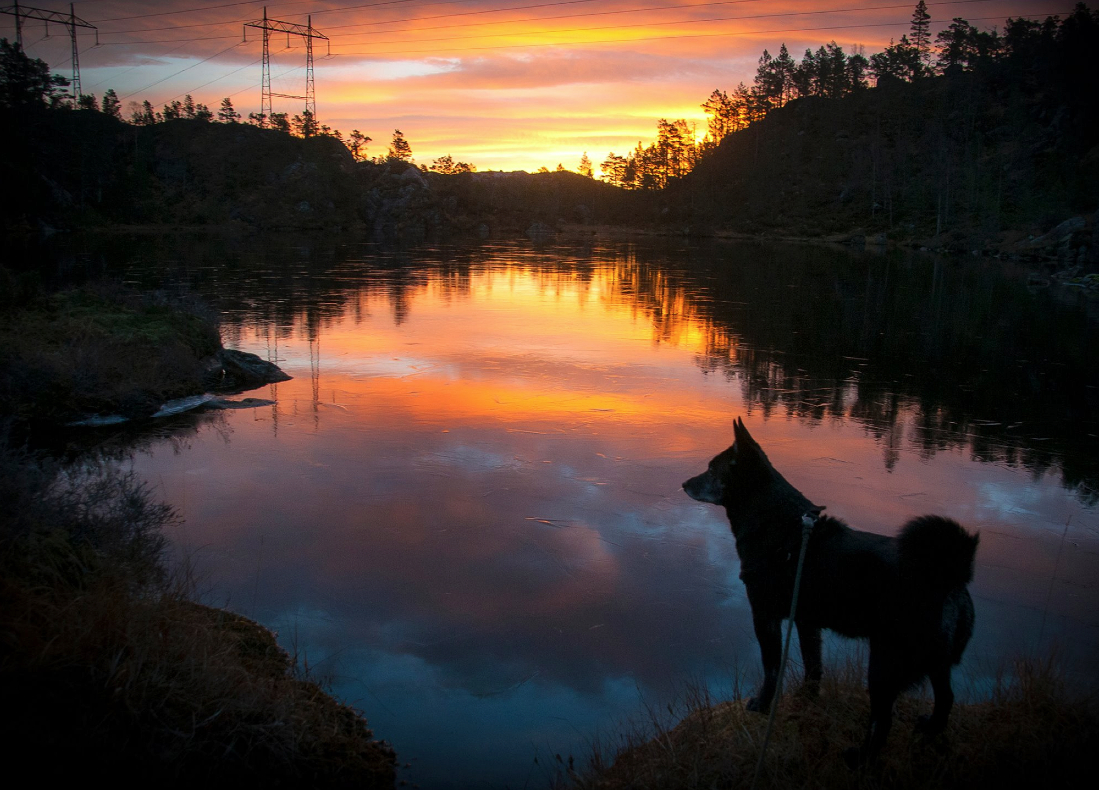 Morgonstund – ikkje noko tull i grunn. Det fekk fotograf Atle Helland oppleva ved Guriflåtotjødna ved Utåker, på veg opp til Dyrrinda.