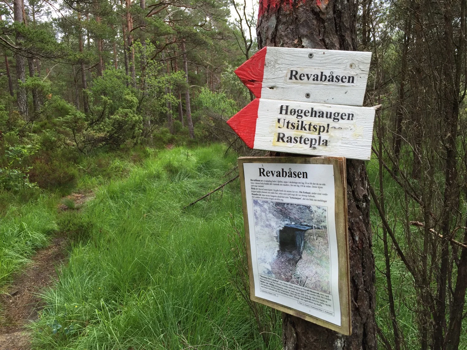 Langs dei mange turstiane er det sett opp både informasjon om dyr og fauna, og om vegen vidare.