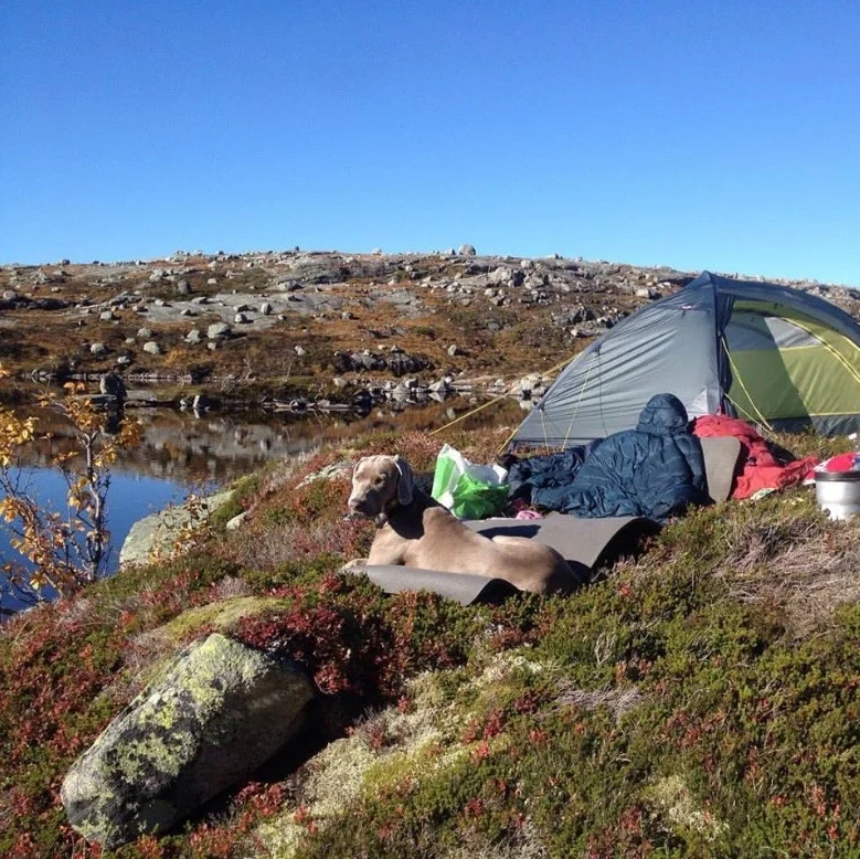 Godt liv, 687 m o.h. (Foto: Mari Teigen Varanes)