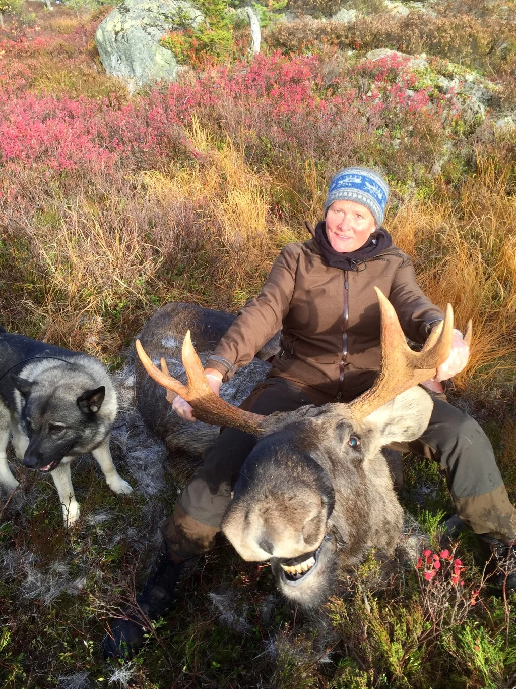 Marit Espeland fekk skyta to elgar ved Kongsberg.