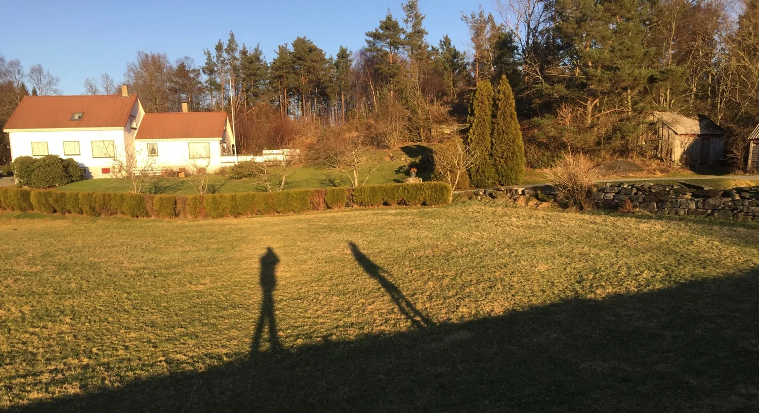 Vi startar det nye året med tur i vakkert vêr og vakker natur på Halsnøy. Dei lange skuggane minner oss på at vi er tidleg i januar og at vi må venta ei god stund enno før vi får kjenna sola varma.