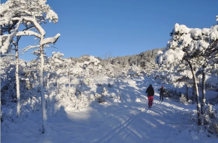 (Foto: Røen og Sjøvangen Velforeining)