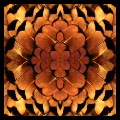 3x3orange.jpg