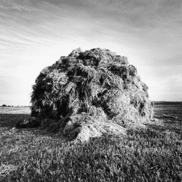 prairie4.jpg