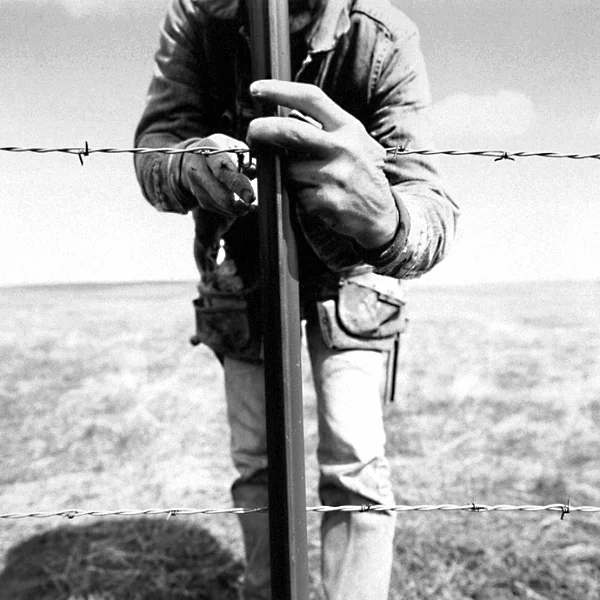 prairie5.jpg
