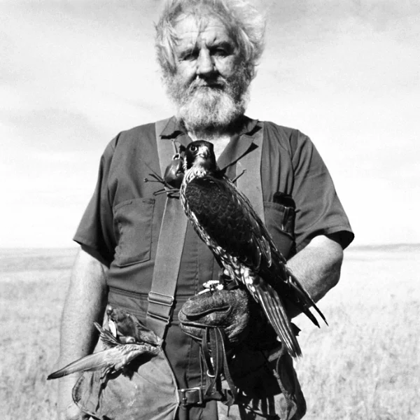 prairie9.jpg
