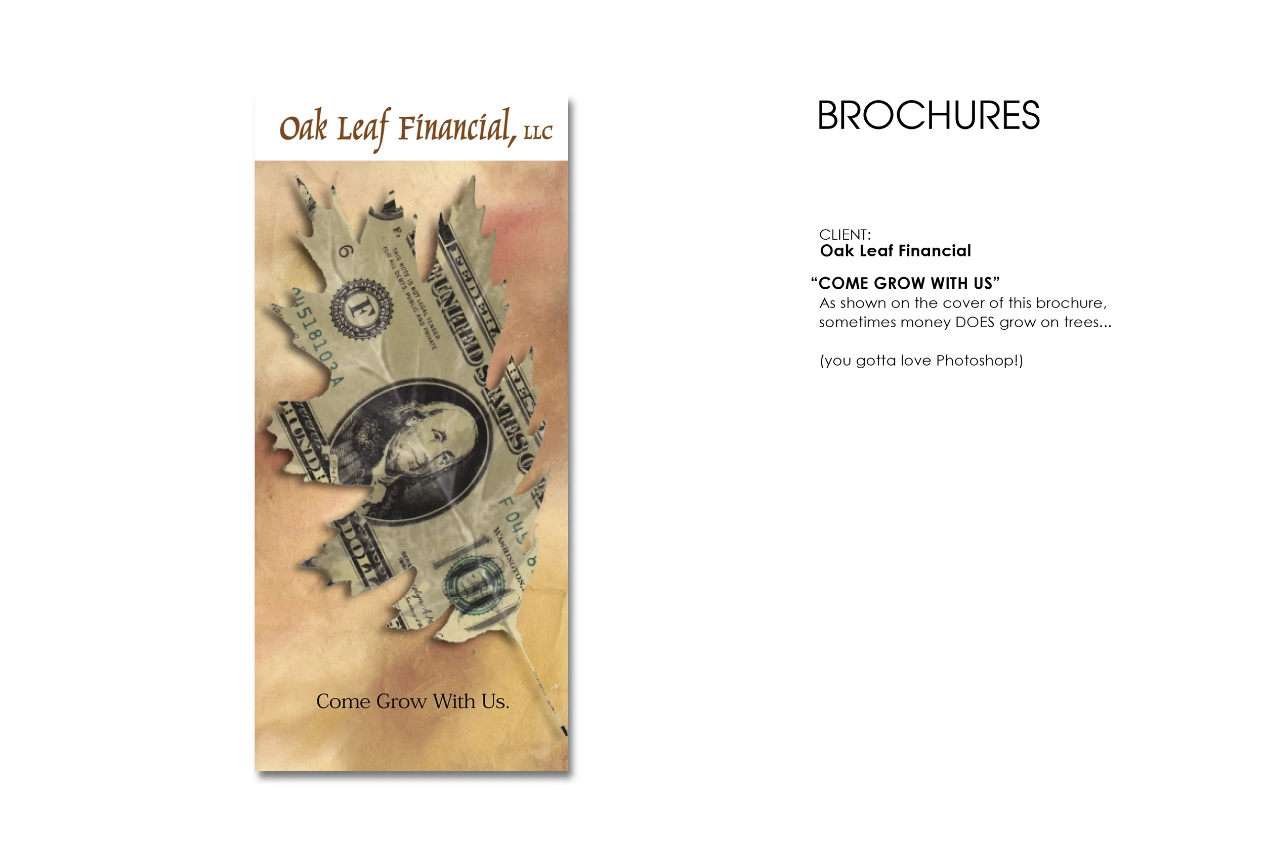 BROCHURES-10-OakLeafFinancial.jpg
