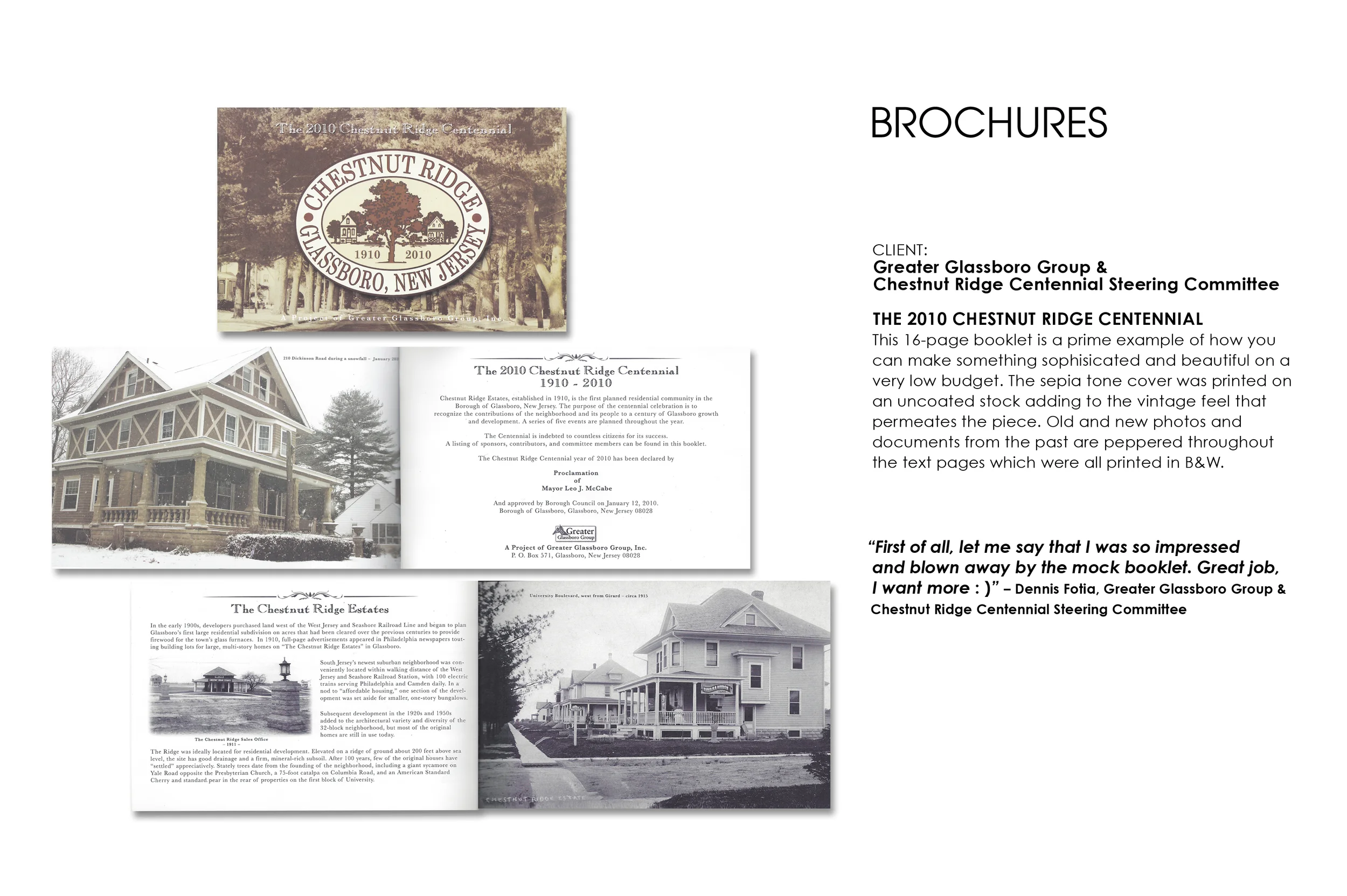 BROCHURES-11-ChesnutRidge.jpg