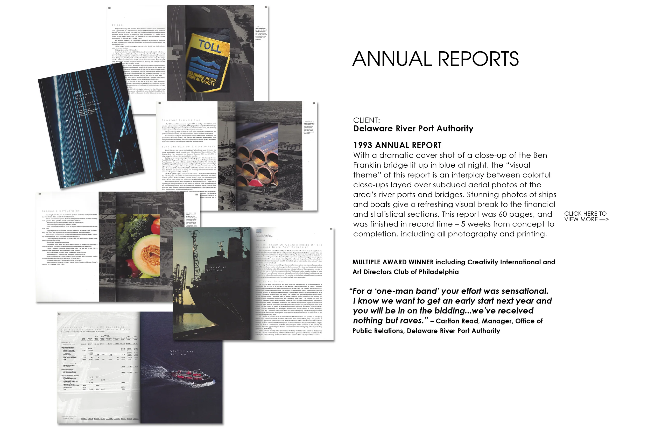 ANNUALREPORTS-DRPA copy.jpg