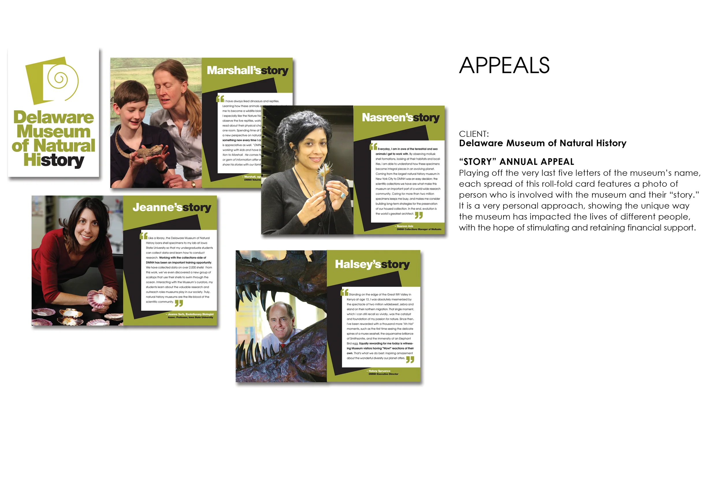 APPEALS-DMNH-StoryCampaign.jpg