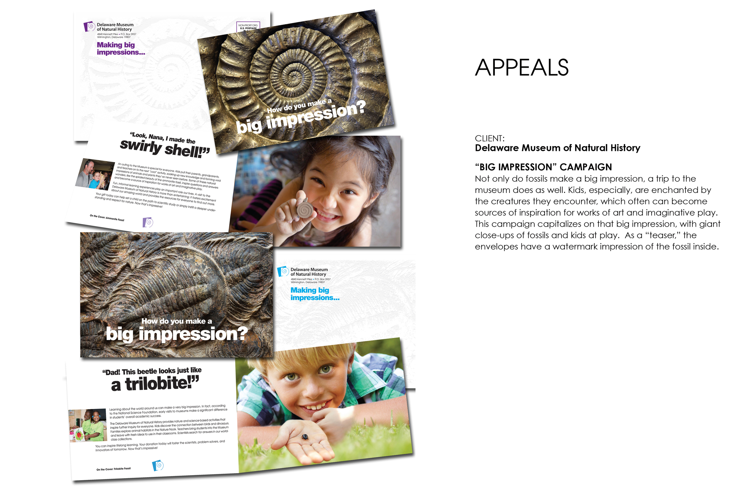 APPEALS-DMNH-Ammonite&Trilobite.jpg