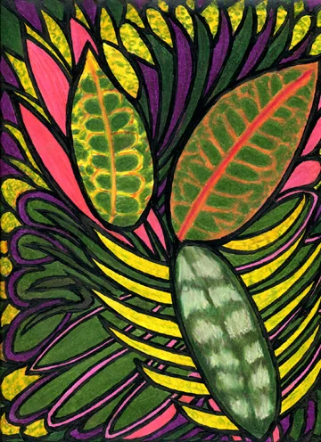 Tropical Rhythms.jpg