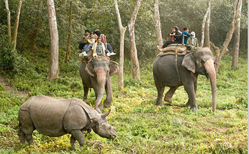Elephant Safari at Chitwan National Park