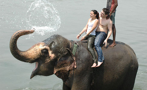 Elephant Safari at Chitwan National Park