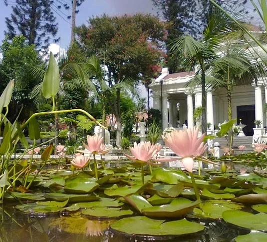 Area attractions
