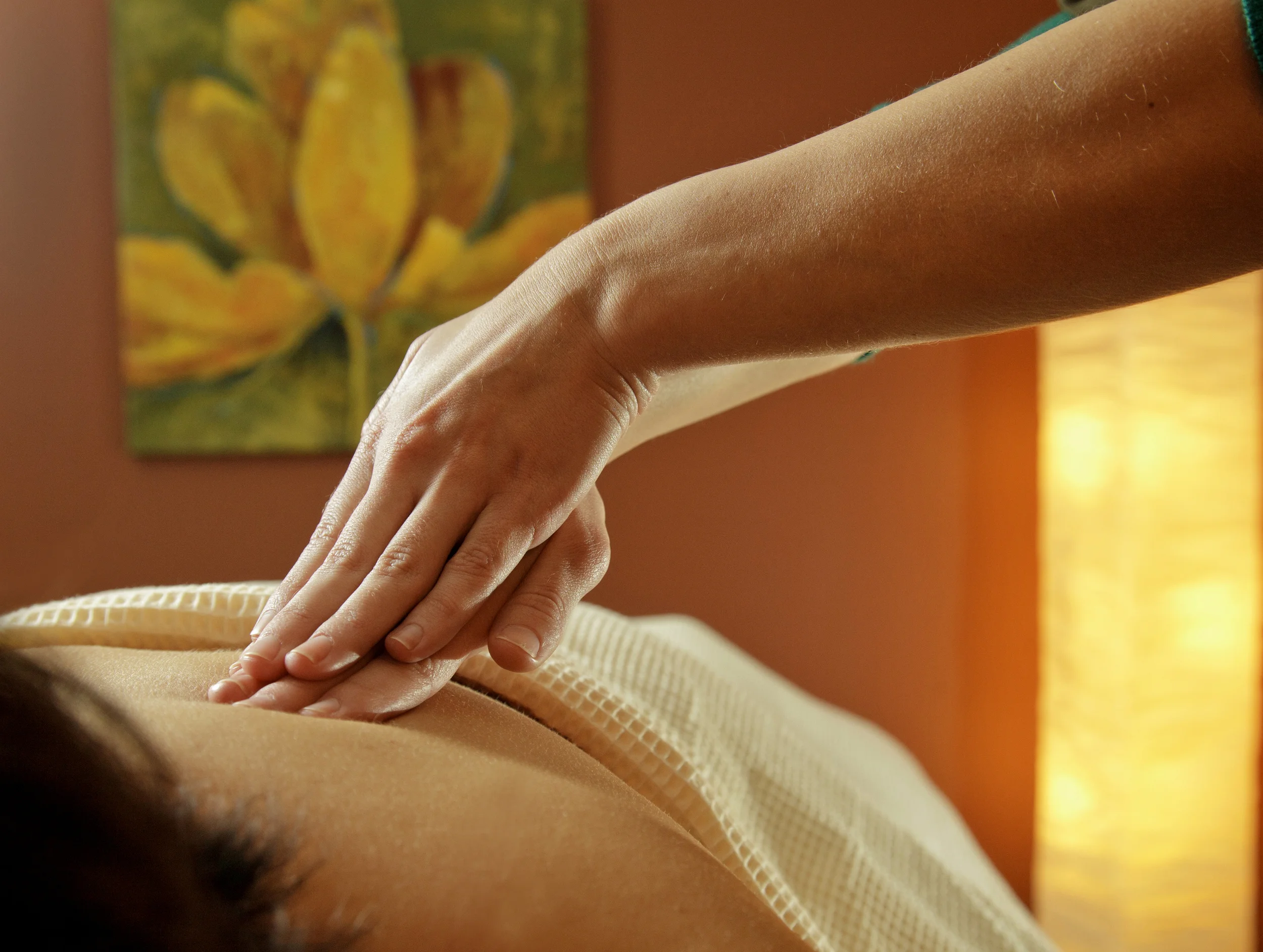 Tranquility Spa at Hotel Shanker