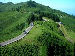 Ilam, Emerald of Eastern Nepal