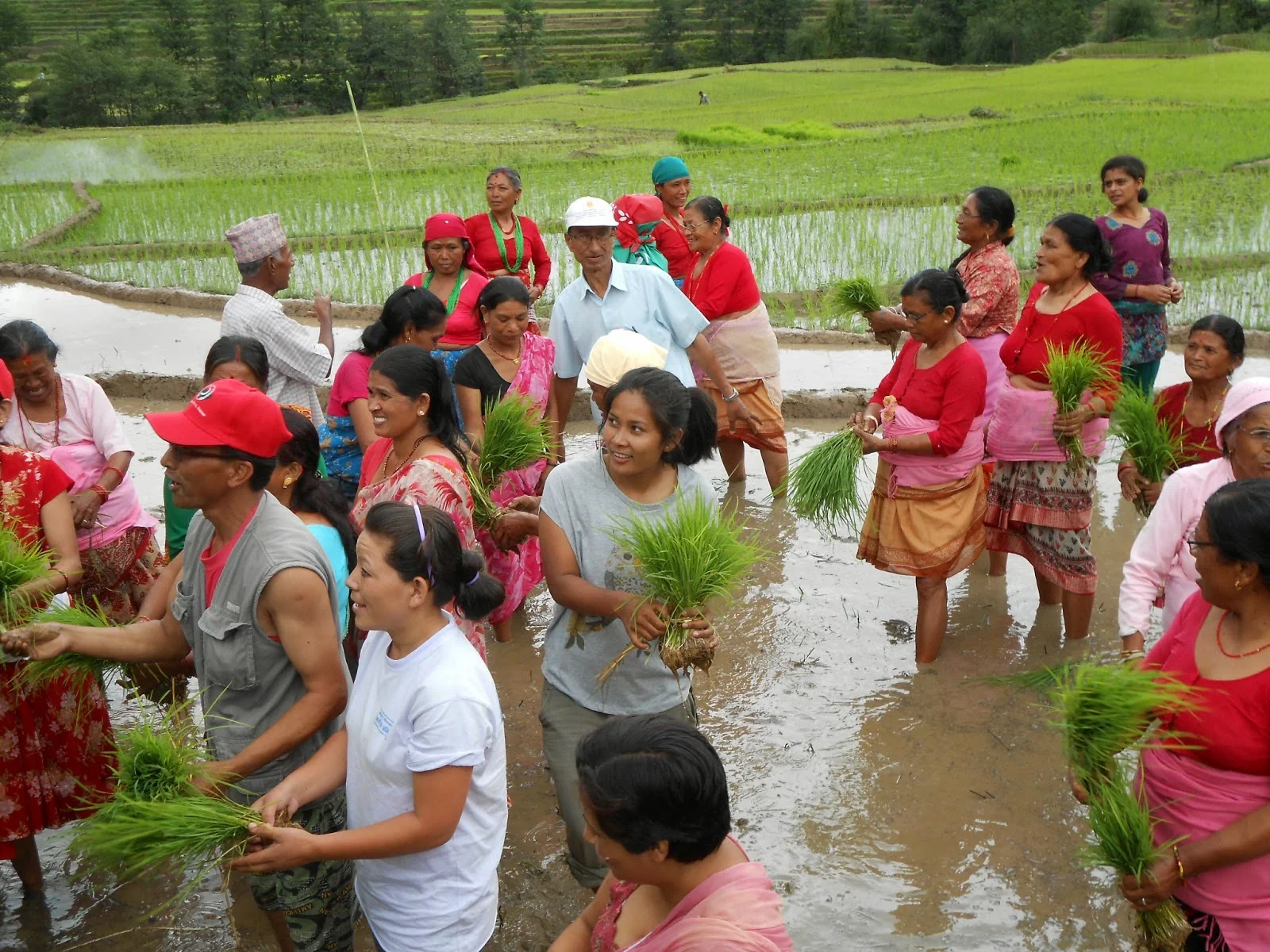 Ropai, Nepal’s Season of Rice