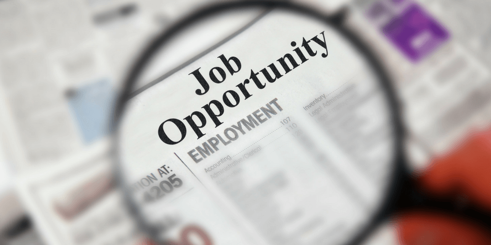 job-opportunities.png