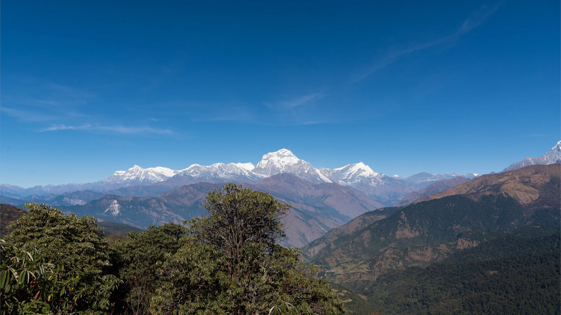 Light Trails to Get You Started - Part I