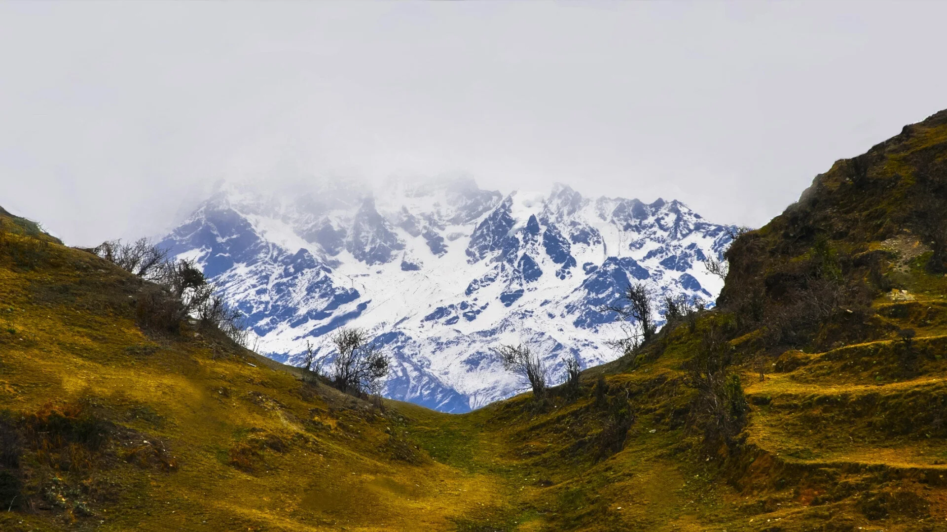 Exploring the Himalayas