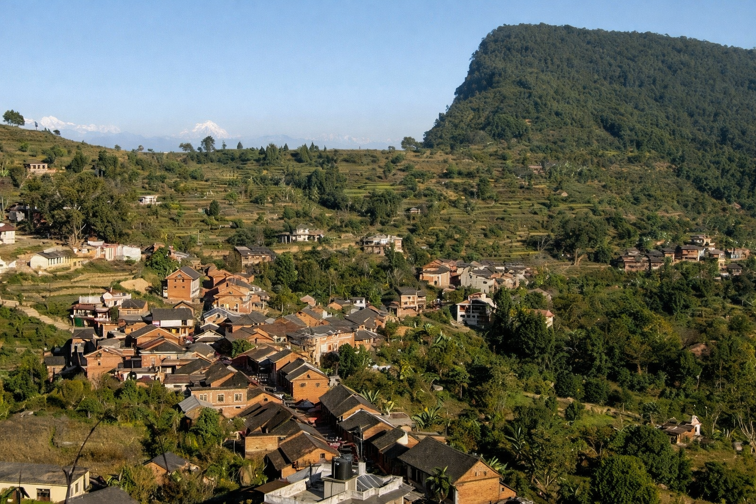 Legends in the Trees: The Spooky Allure of Raniban Forest