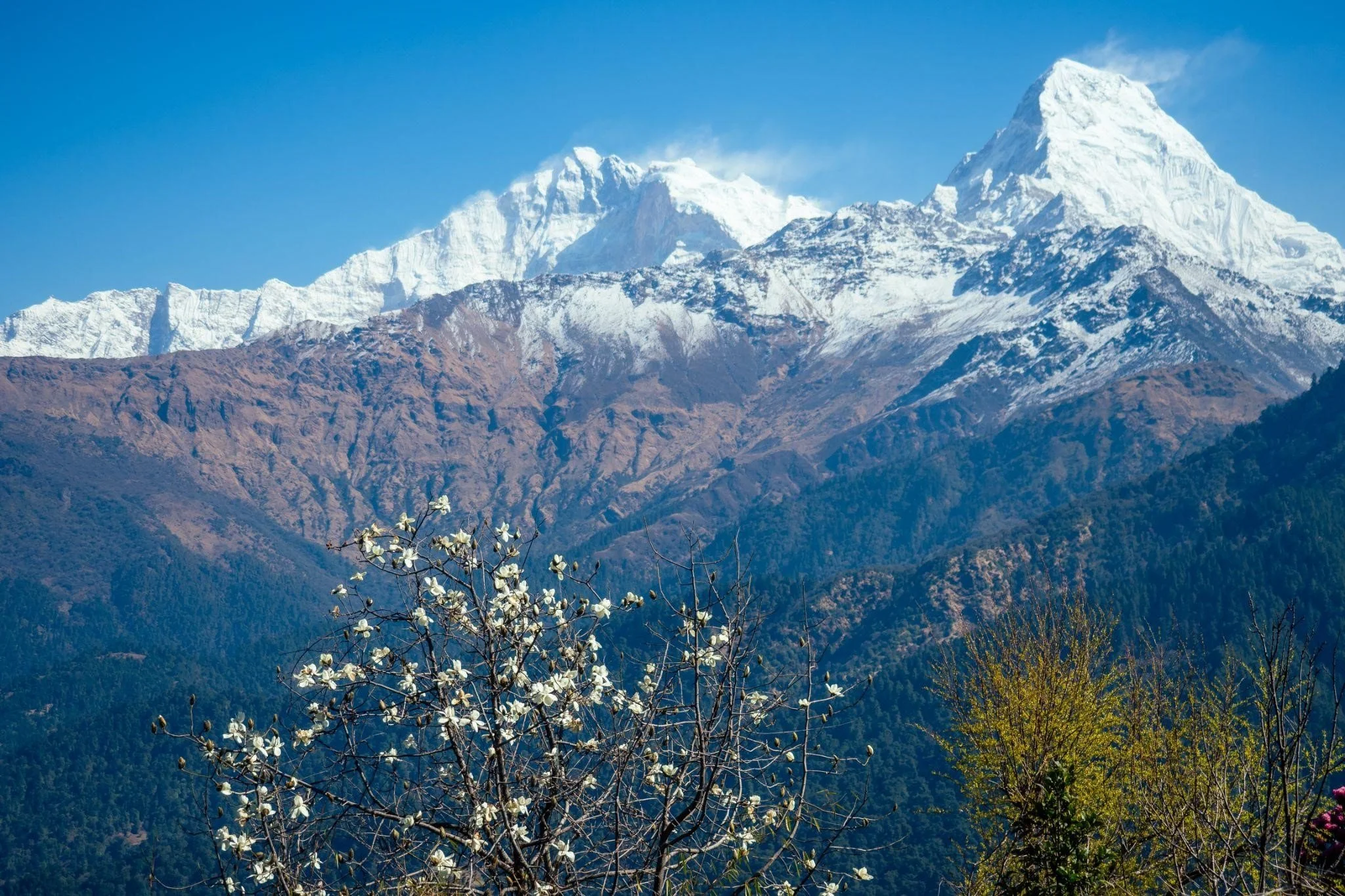 Nepal’s Best Winter-to-Spring Transition Treks in February