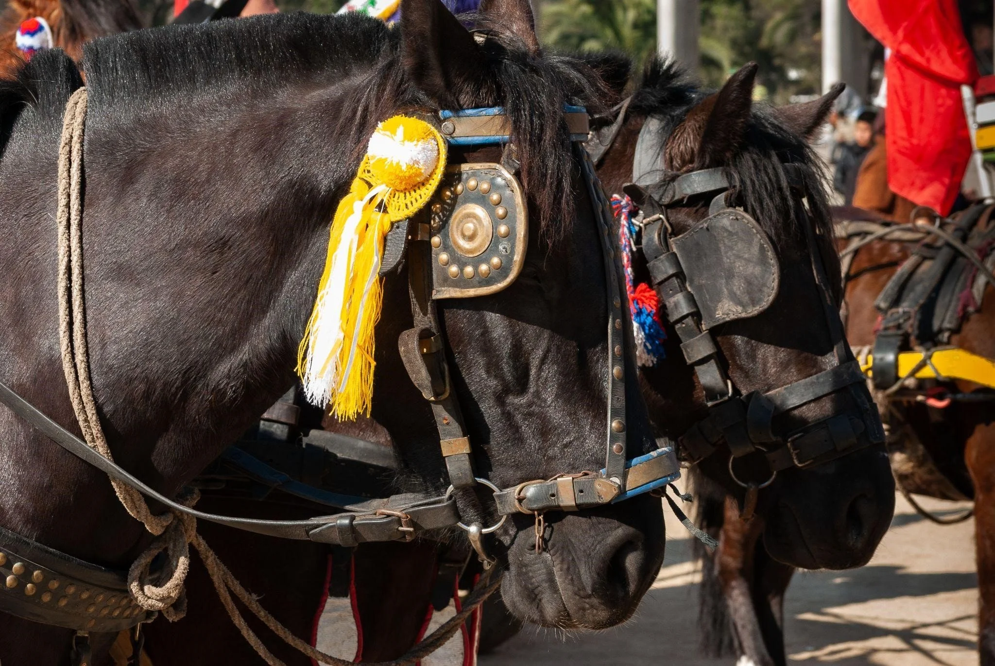 Parade Against Evil: The Ghode Jatra