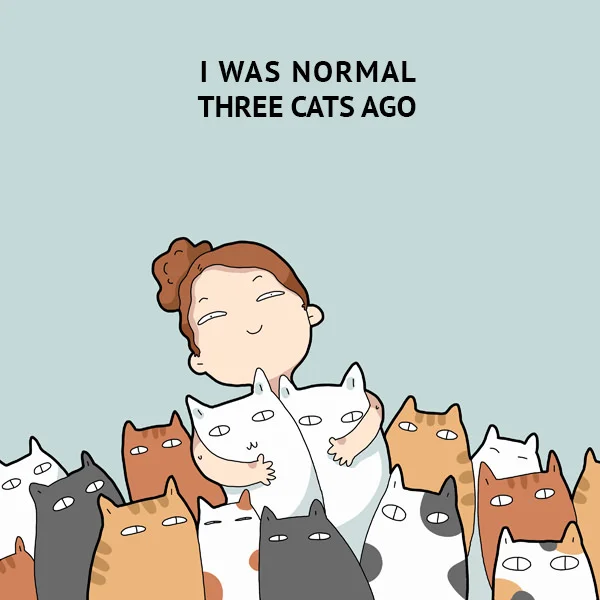 crazy-cat-drawing-at-getdrawings-crazy-cat-lady-cartoons.jpg