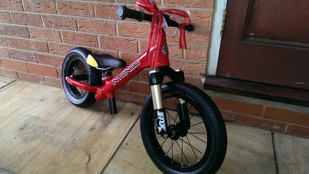 fat tire balance bike