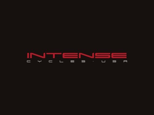 INTENSE LOGO.jpg