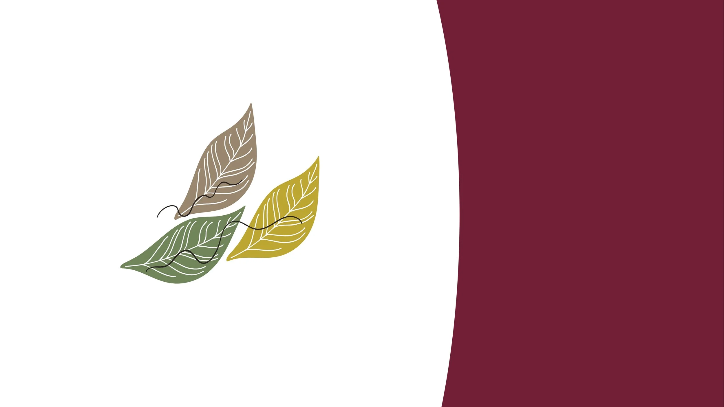 Elevating Voices (1).jpg