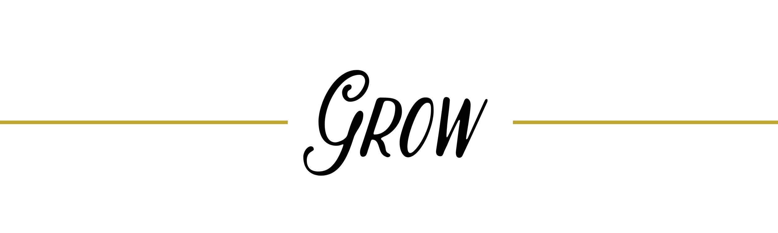 Impact Report Website.jpg