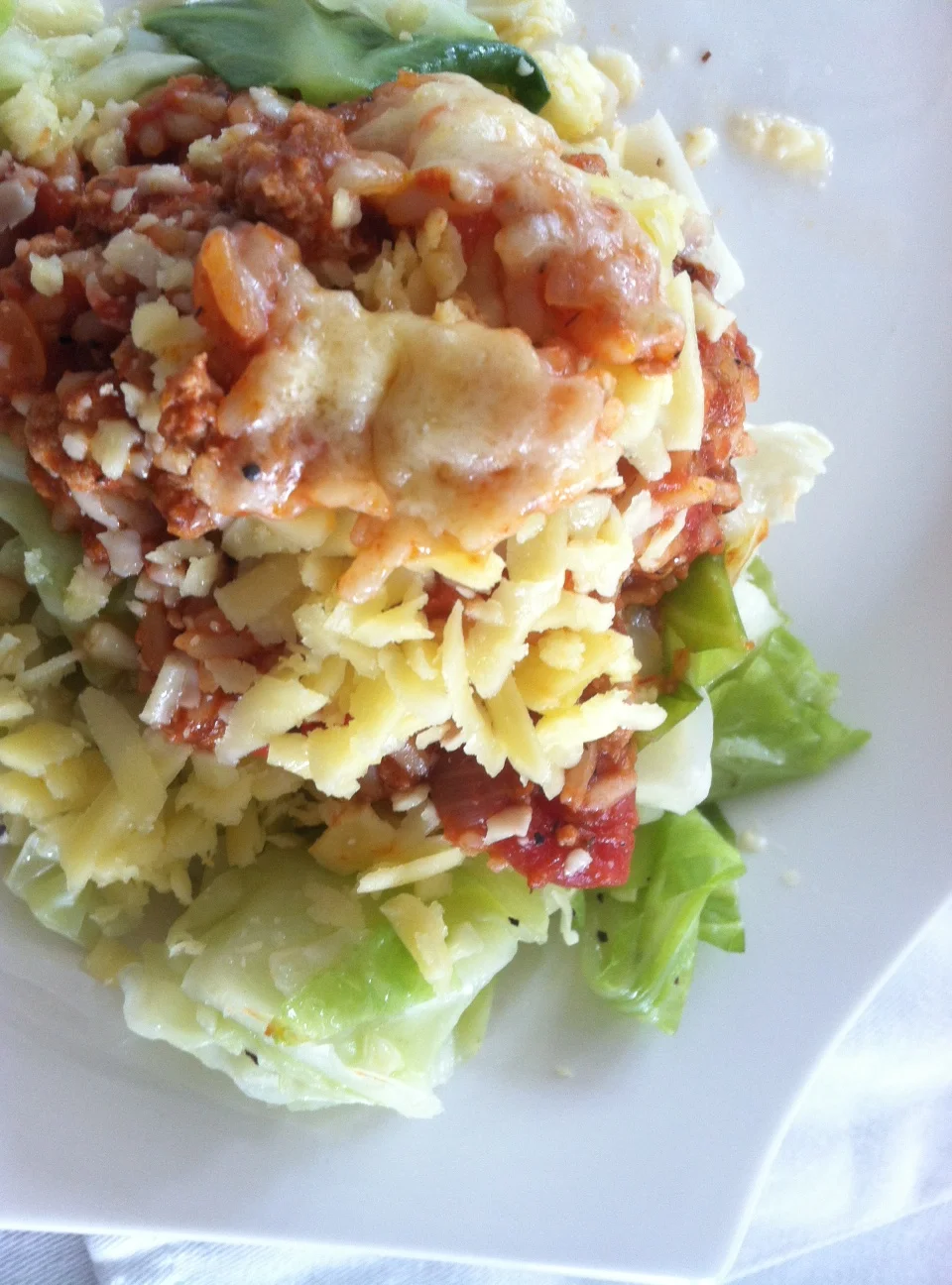 Stuffed Cabbage Casserole