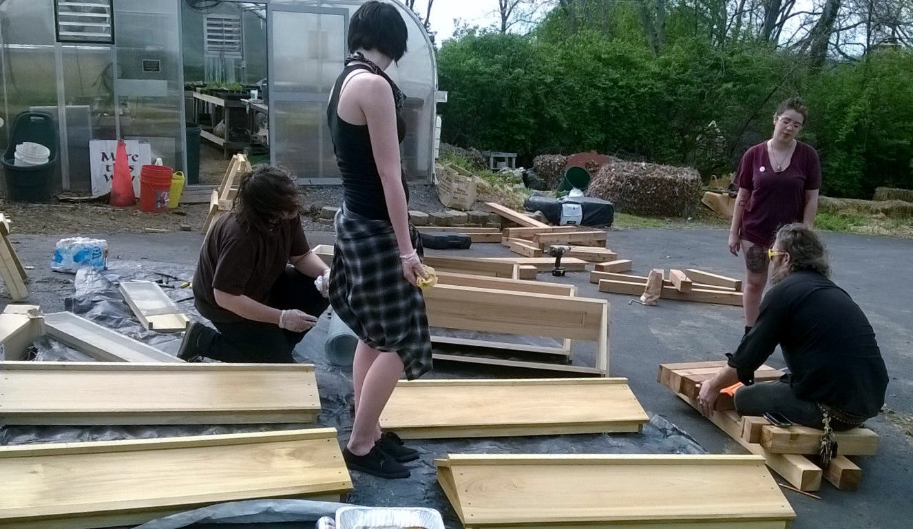   Volunteers assembled, sanded and stained the hives.  