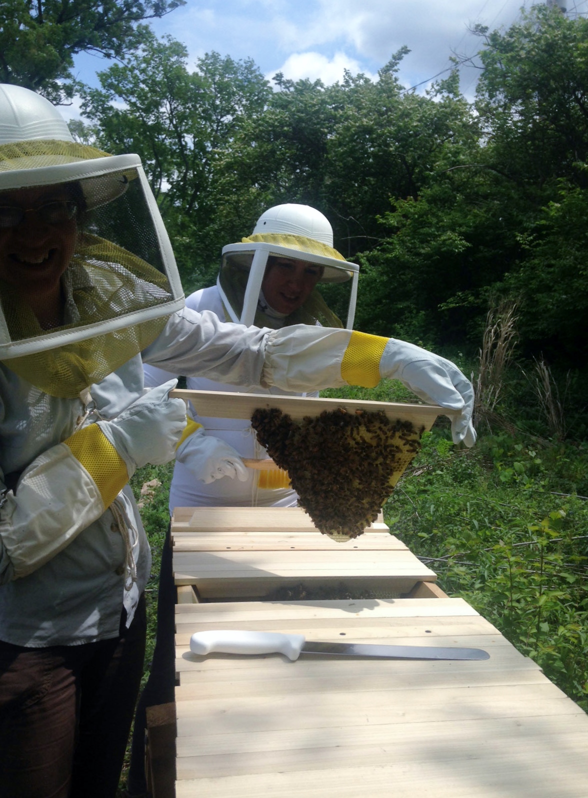   After exactly seven days, the bees are building comb (and making honey) as fast as they can. Garden manager, Christina, learns about finding peace with the bees as she carefully handles the comb.  