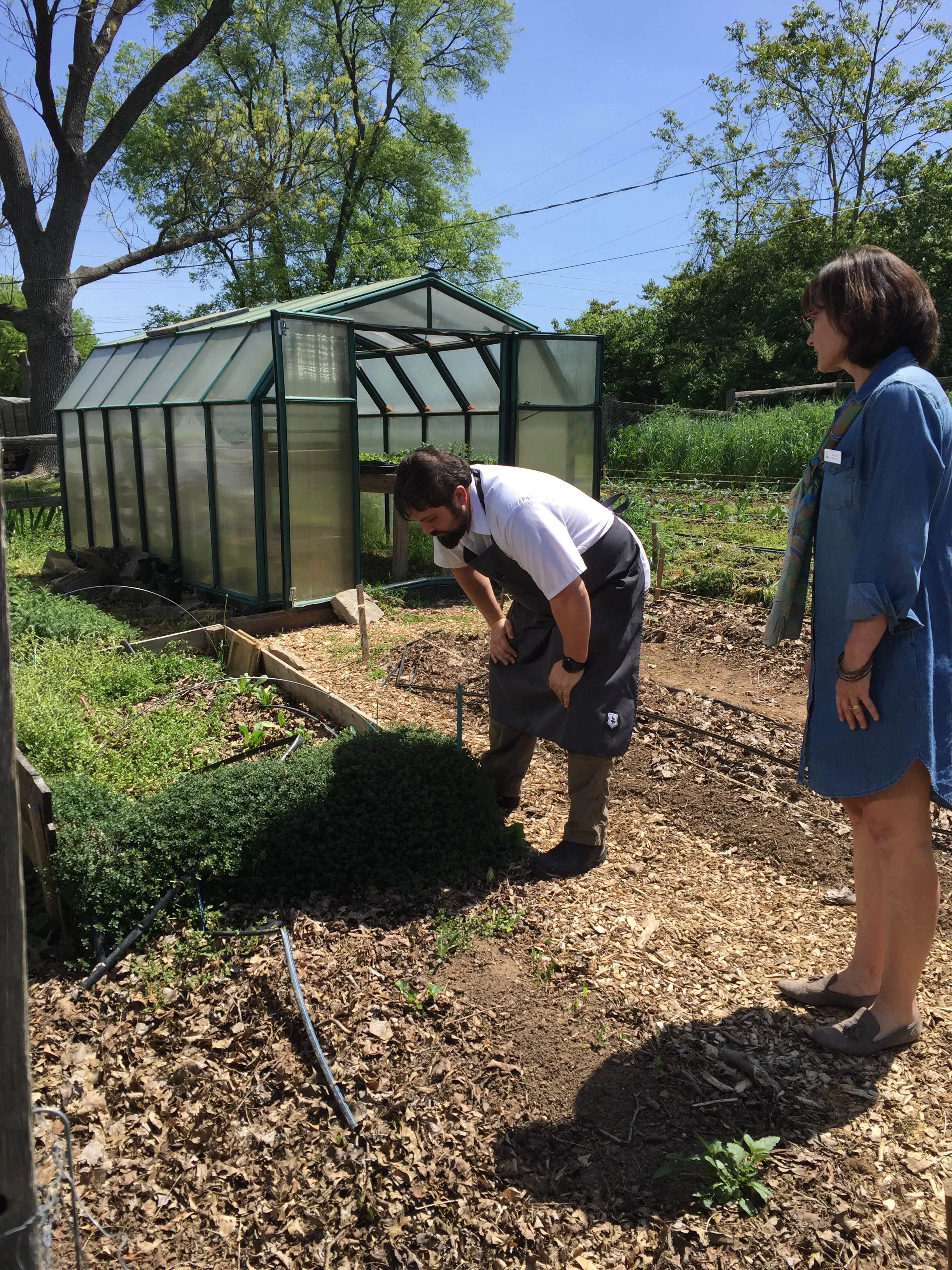 The chef checks out TNFP's kitchen garden at Woodmont. 