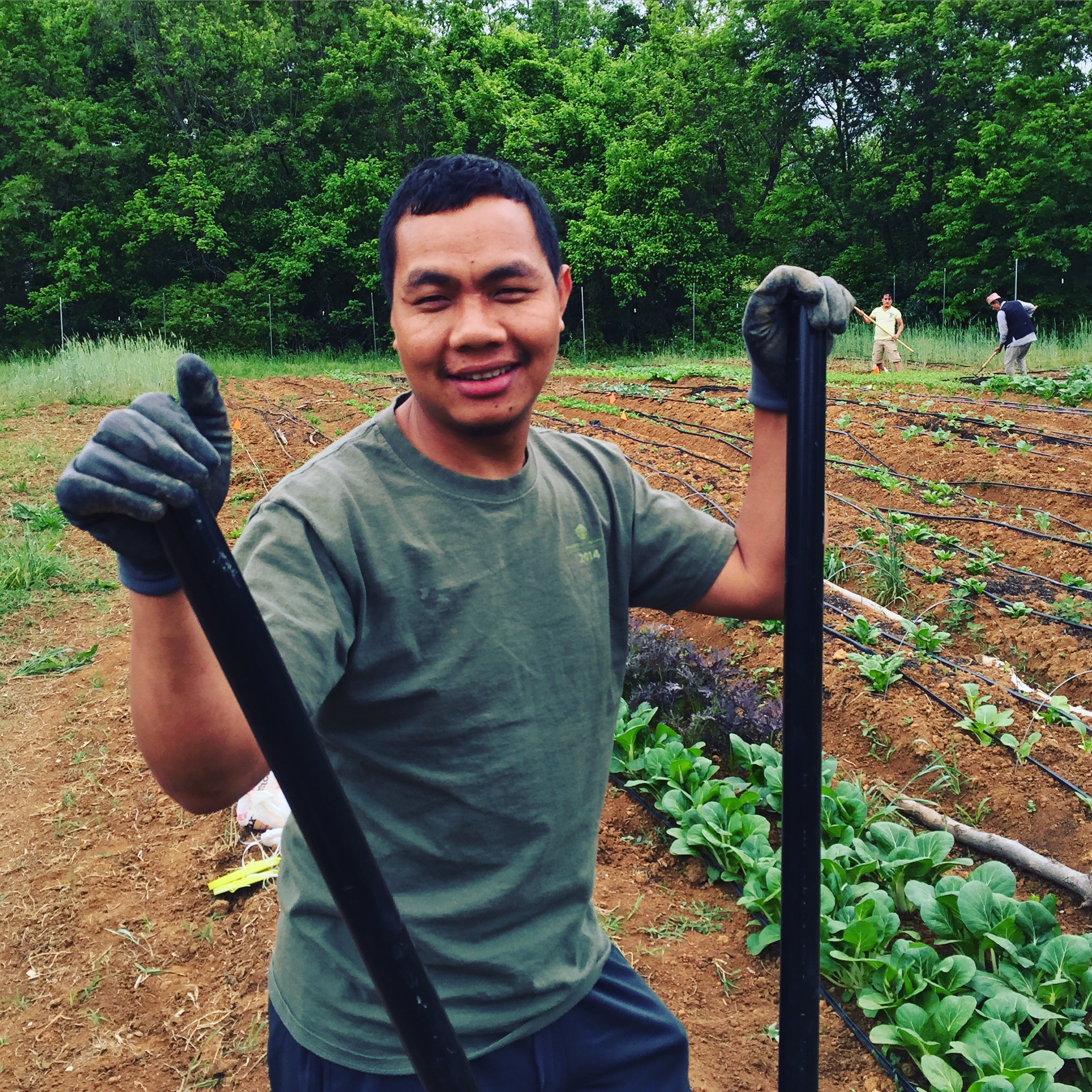 Thomas, working his plots (this time not in dress clothes)